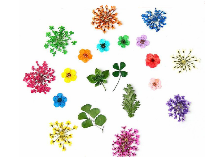 3 Dry Flowers Plant Specimens Time Gem Dijiao Glue DIY Jewelry Findings Tools